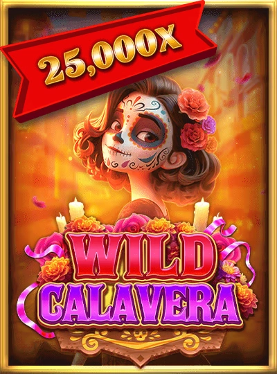 Live baccarat table game cover